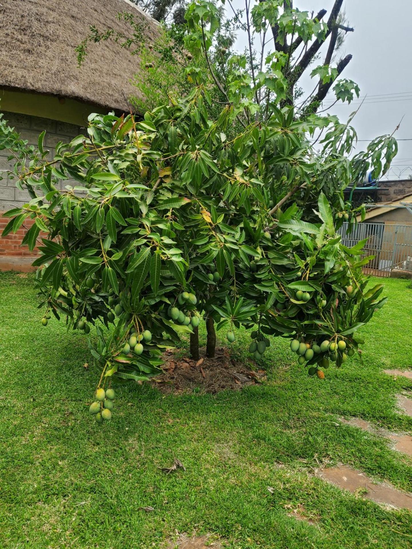 Edaala Comfort - Cottage Rooms Nairobi Exterior foto